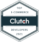 Ecommerce development
