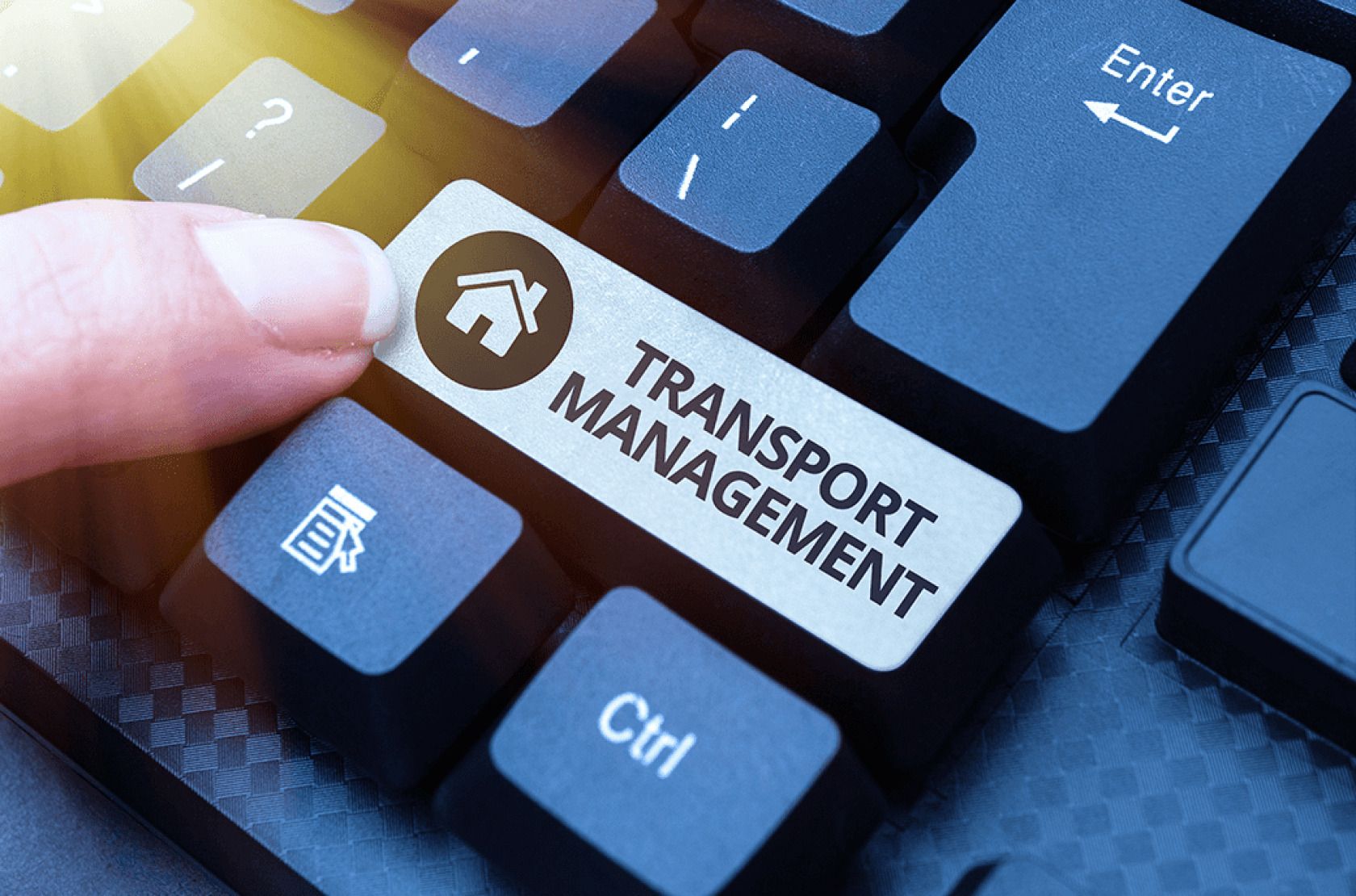 What is Transportation Management