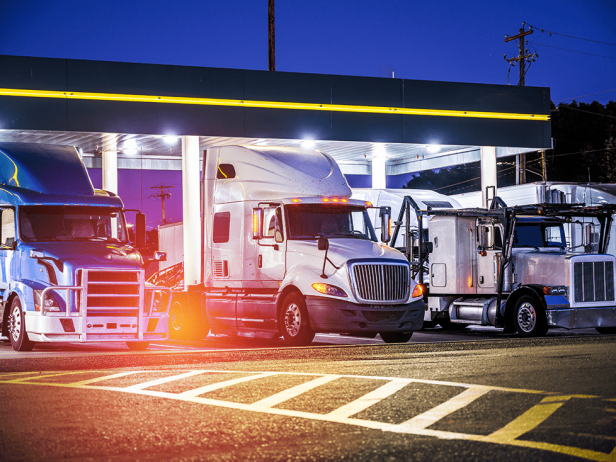 Improving Fuel Efficiency in Trucking Companies: Case Studies from Transport Pro, Shvartz and McLeod