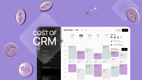 The cost of CRM development