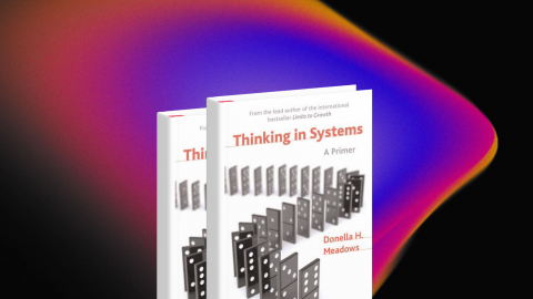 Thinking in Systems: International Bestseller