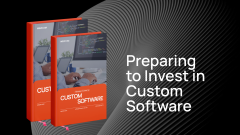 Preparing to Invest in Custom Software