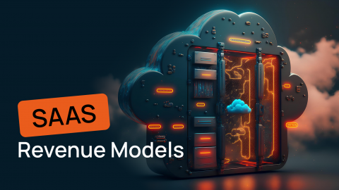 Revenue Models for SaaS SaaS Revenue