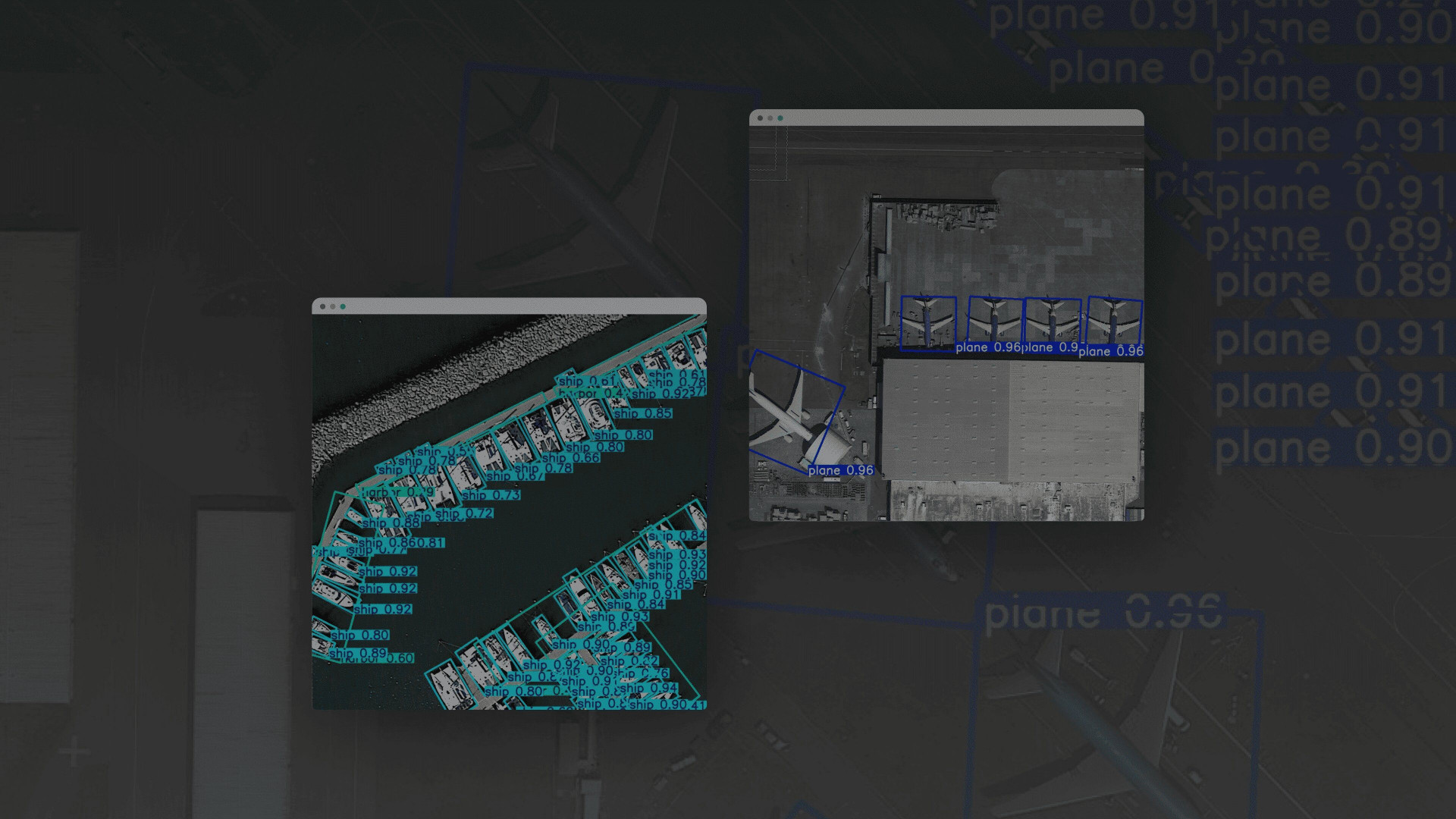 section image