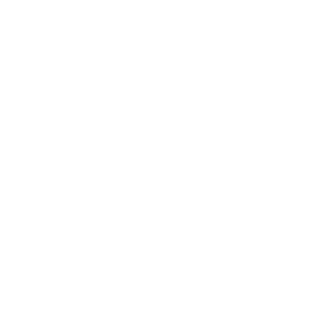 STVOL: eCommerce for a leading gun store