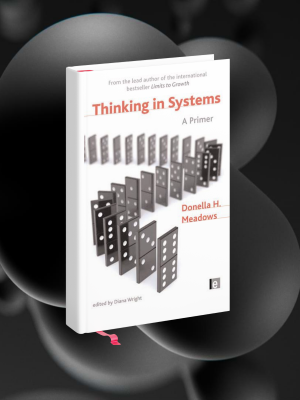 Thinking in Systems