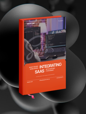 SaaS integration into IT systems