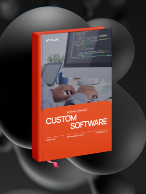 Preparing to Invest in Custom Software