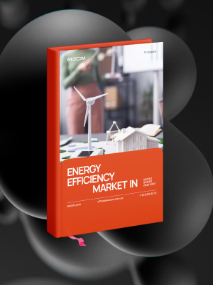 Energy Efficiency Market