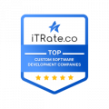 TOP Custom Software Development Companies