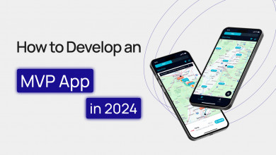 MVP Application Development in 2025: Trends, Process & Cost