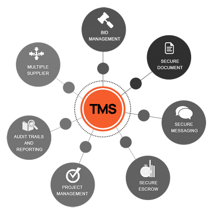 Custom TMS Software for Transportation Management - WEZOM