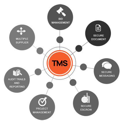 TMS Modules