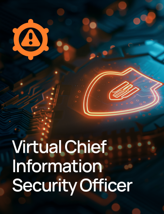 Virtual Chief Information Security Officer (vCISO)