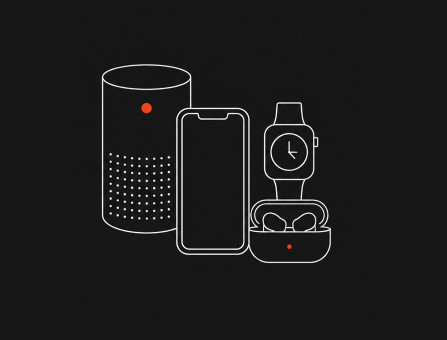 Consumer Electronics
