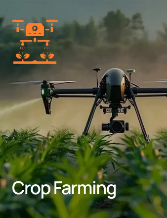 Crop Farming