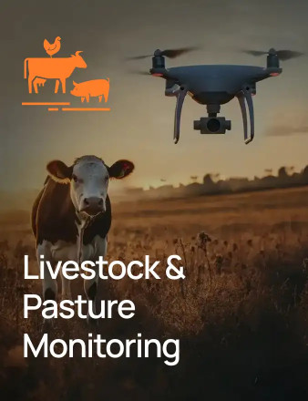 Livestock & Pasture Monitoring