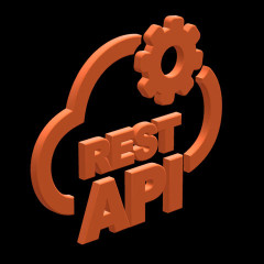 REST API Development Services